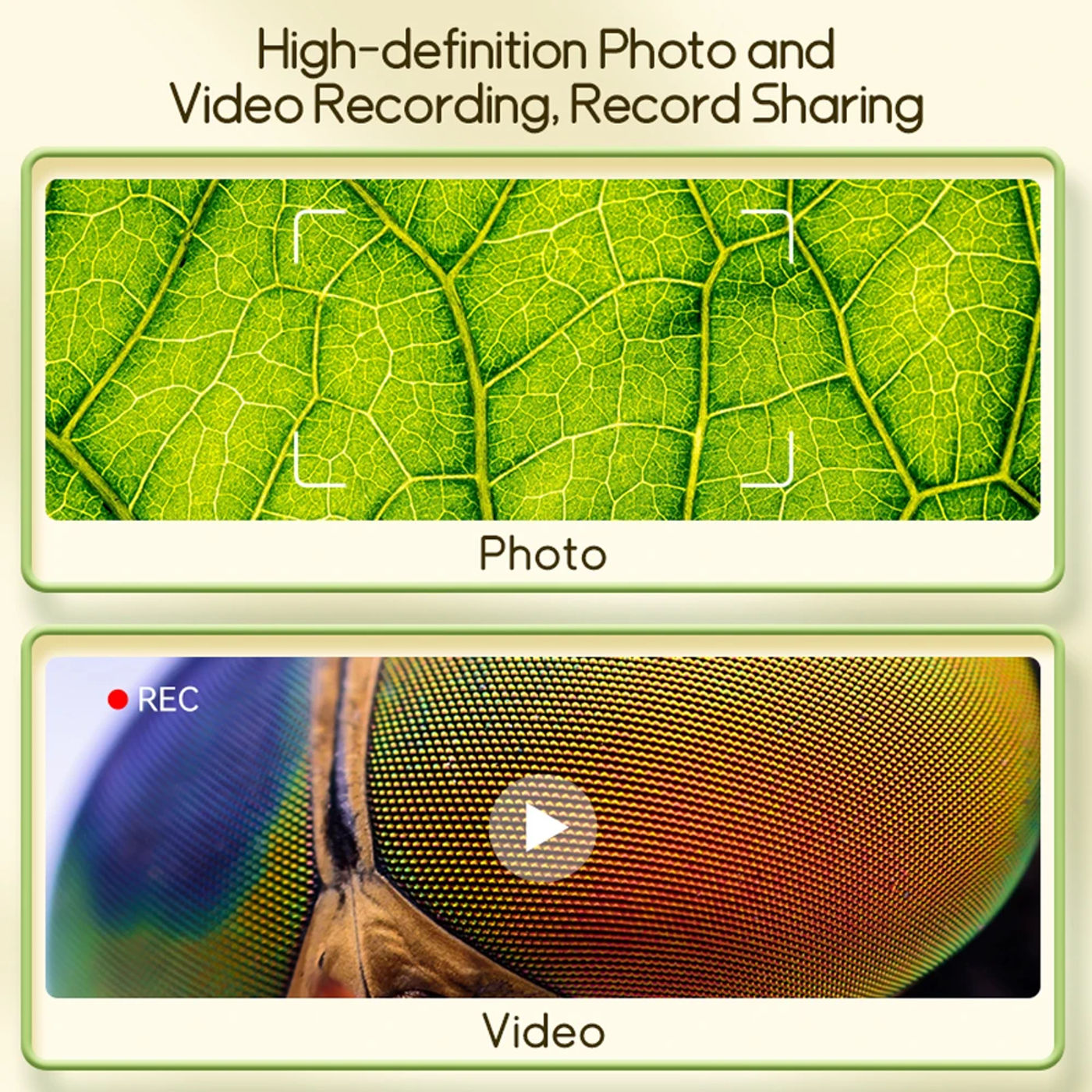 Slide 275890b609ee43fe9d2af3ced3bccfbf