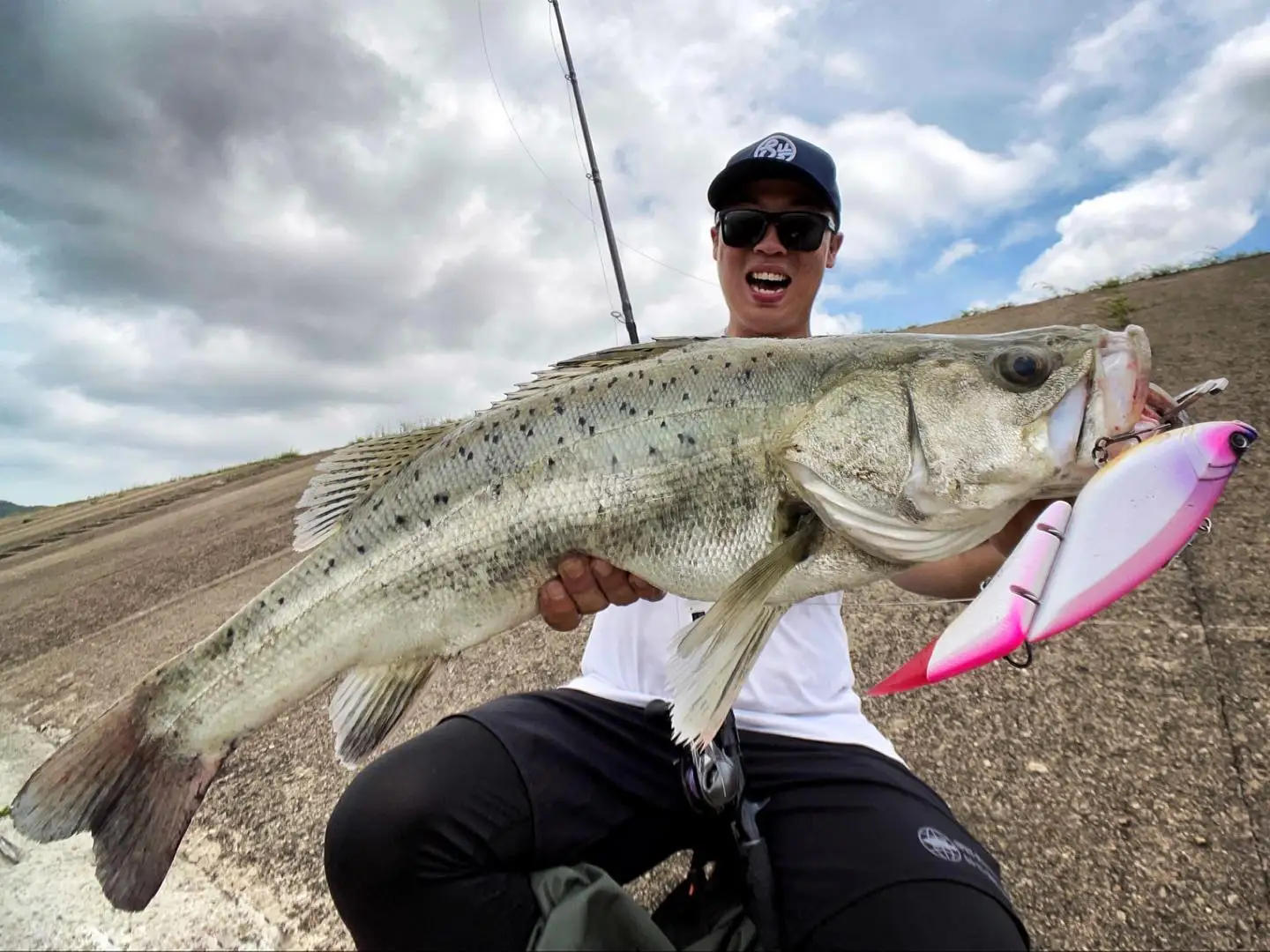 Description Picture 2 of itemFishing lure 2023 Swimbaits Japan lure bigbait ELEMENTS Da Vinci Multi-section Fish Hard Bait Sea Fishing Floating Wobblers