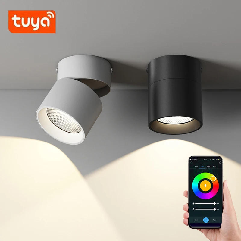 Description Picture 3 of itemTuya Smart RGB 2700K-6500K LED Foldable Downlight  Ceiling Spotlight ,Dimmable Color Changing,Work with Alexa/Google