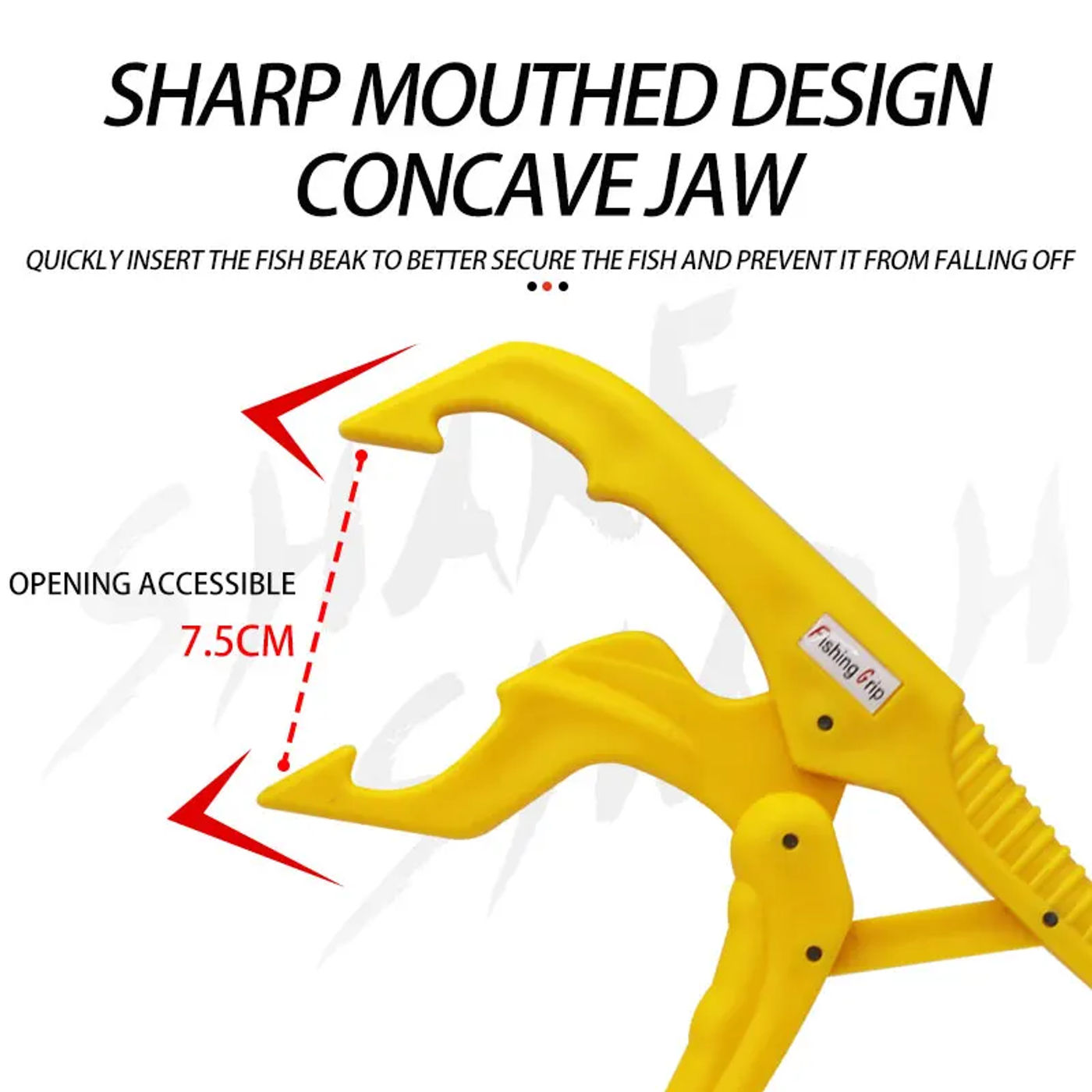 Slide 06e7d6d12c524145907ed5794f50f4d5