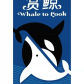Whale lo look