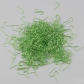 Green-50pcs