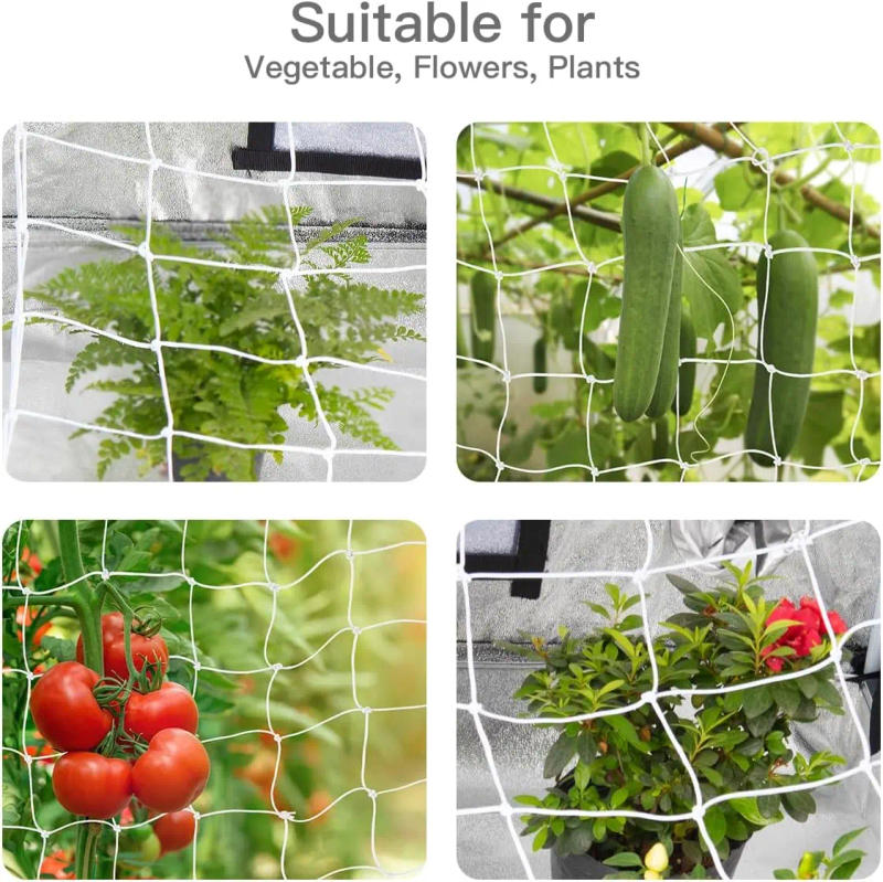 Description Picture 4 of itemGrow Trellis Netting Plant Support Elastic Net with Hooks for Indoor Tents Box Kit Low Stress Training 4'' Mesh