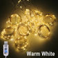 Warm White