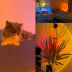 Slide image 8d70e2f4bd7d44d68d7d099572ec34ee