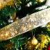 Slide image fdb72646c5874f93818169749baa5923