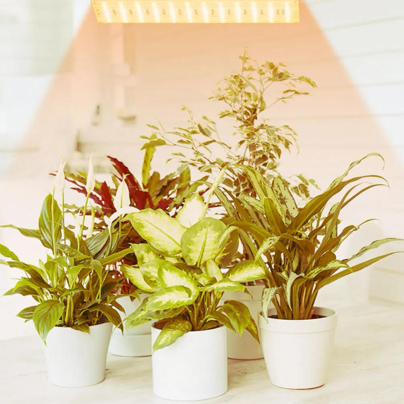 Description Picture 5 of itemUltra-Thin Panel Grow Lights USB Full Spectrum Grow Lights with Timer LED Phyto Lamp Dimmable for Indoor Plants