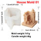house mold 01