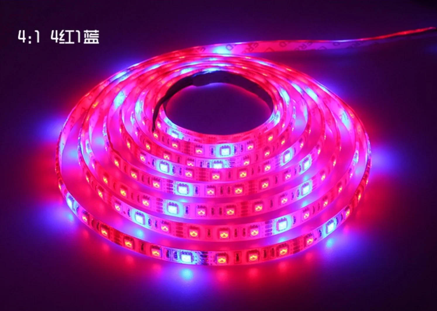 Description Picture 6 of itemTuya WiFi DC12V Led Grow Light Strip Smart Dimmer 5M Kit 5050 Flexible Phytolamp Greenhouse Hydroponic Tuya APP for Alexa Google