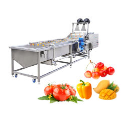 Yazhong Carrot Cleaning Machine  Fruit Washer Dates Strawberry Washing Machine Vegetable and Fruit 220v/380v YZQP-2500 400