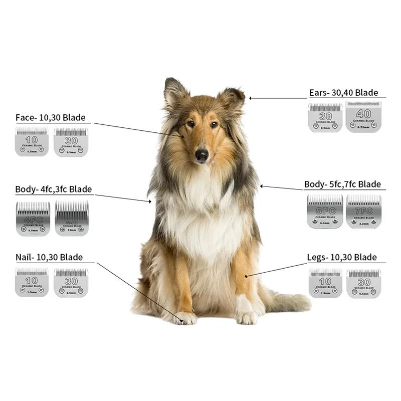 Description Picture 3 of itemDetachable Pet Dog Grooming Clipper Ceramic Edge Blade Compatible with most Andis,Oster A5,Wahl KM10 Series Clippers