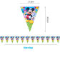 12pcs flag