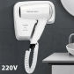 220V Hair dryer