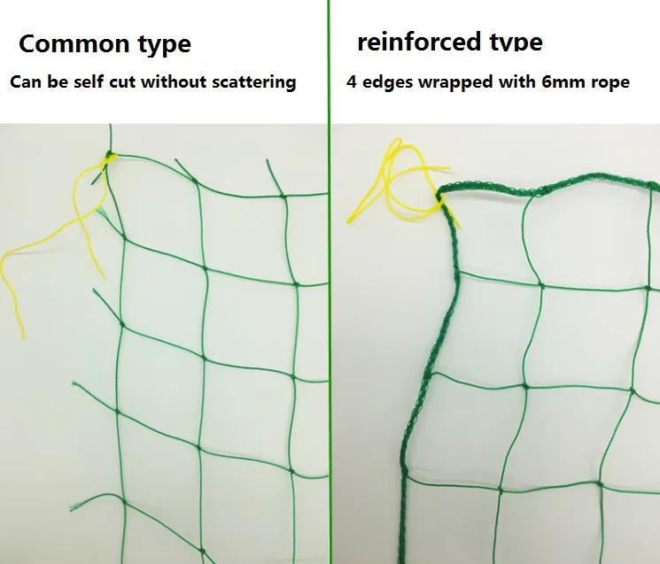 Description Picture 3 of itemNylon Garden Netting Plants Support Net Morning Glory for Vegetable Flower Holder Cucumber Trellis 18 Strand Multiple Size
