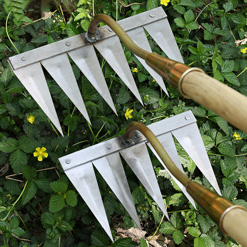 Description Picture 4 of item4/5/6/7-Tooth Dethatcher Rake Metal Yard Rake Weeding Hoe Rake Weeding Scarifier Artifact Agricultural Tools Garden Cultivator