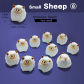 B sheep