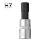 H7