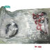 Slide image af97be1257ab448292f8969a9b368838
