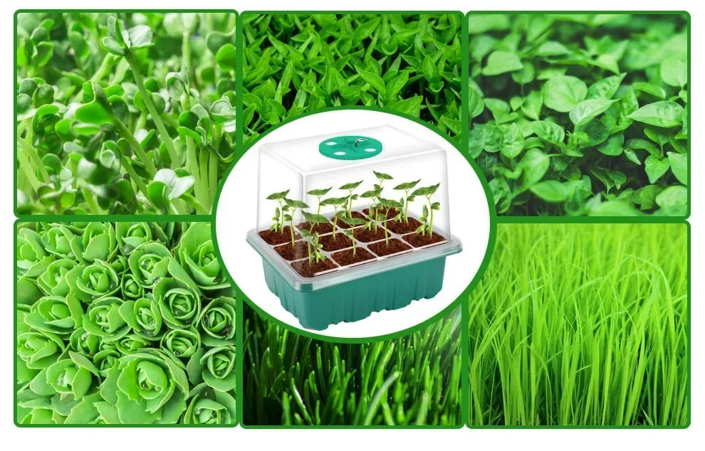 Description Picture 5 of itemPhytolamp for Indoor Plant Full Spectrum Seed Starter Trays with LED Grow Light 12 Holes Per Tray Greenhouse Garden Growing Lamp