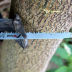 Slide image f99fbca6732e4dafbcbcd5f1db1c3411