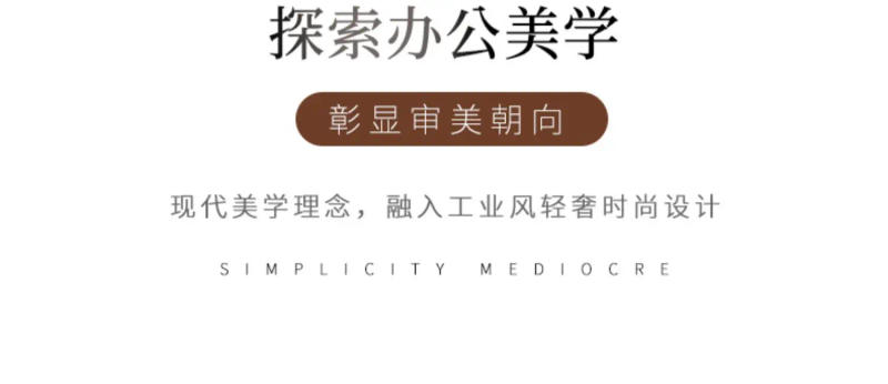 Description Picture 3 of itemOffice Gaming Desk Organizer Conference Desktops Adjustable Desk Manicure Corner Luxury Italian Escritorios De Oficina Furniture