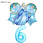 Ballon 6pcs6