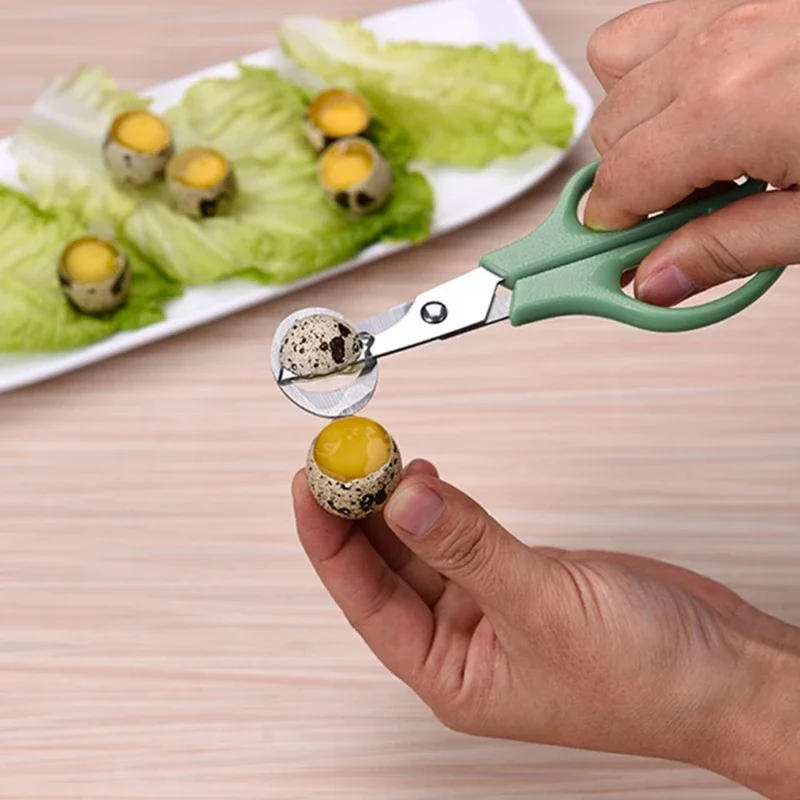 Description Picture 4 of item10pcs Quail Eggs Scissors, Stainless Steel Quail Egg Cutter, Bird Quail Egg Opener Kitchen Egg Shears Tool