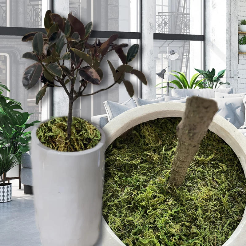 Description Picture 5 of item10g Moss for Potted Plants Artificial Moss for Fake Plants Faux Moss for Planters Decorative Moss for Craft and Home Decor