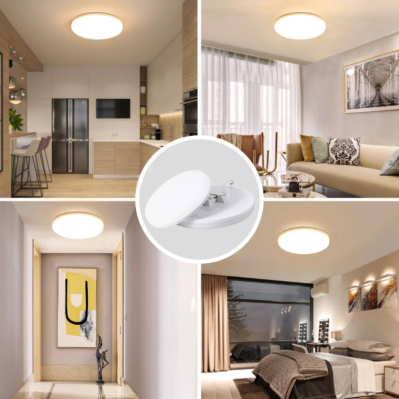 Description Picture 2 of itemLed Ceiling Lights Round Modern Ceiling Lamp for Ceiling Living Room Lamp 15/20/30/50W Bedroom Kitchen Balcony Corridor Lighting