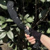 Slide image 2882d32a33e345f49d748b3a259fd12f