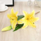 58 - Yellow
