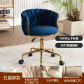 Blue gold 1