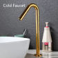 cold water gold T