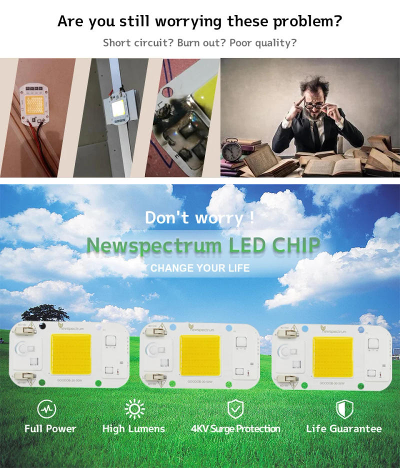 Description Picture 3 of itemAC110V No Welding DOB LED COB Chip 50W Driverless Cold Warm White Lamp Beads for Floodlight Greenhouse Full Spectrum Grow Light