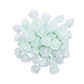 mint green rose