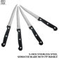 4 Pcs Steak Knife