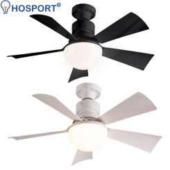 30W LED Light Ceiling Fan with Remote Control Ceiling Fans Lamp 3 Speeds Adjustable Decorative Ceiling Fanlight for Home Bedroom