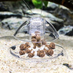 Plastic Snail Trap Catcher Leech Planaria Pest Catch Box Aquarium Environment Clean Aquarium Accessories