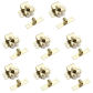 8pc Gold
