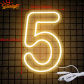 number 5