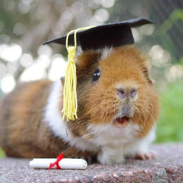 Slide d6479a3d3f744c08b343d06b326cfb77