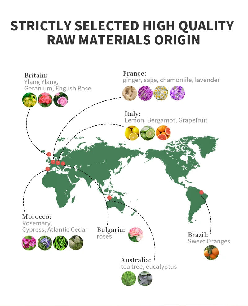 Description Picture 6 of itemNAMSTE Floral Essential Oil Pure Plant Extrat Room Fragrant Electric Aromatic Oasis Fragrance Oil For Home Office Air Freshener