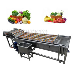 Fruit And Vegetable Washing Machine or named Vegetable Washer Fruit washer machine