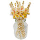 10pcs straw A