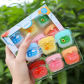 6pcs