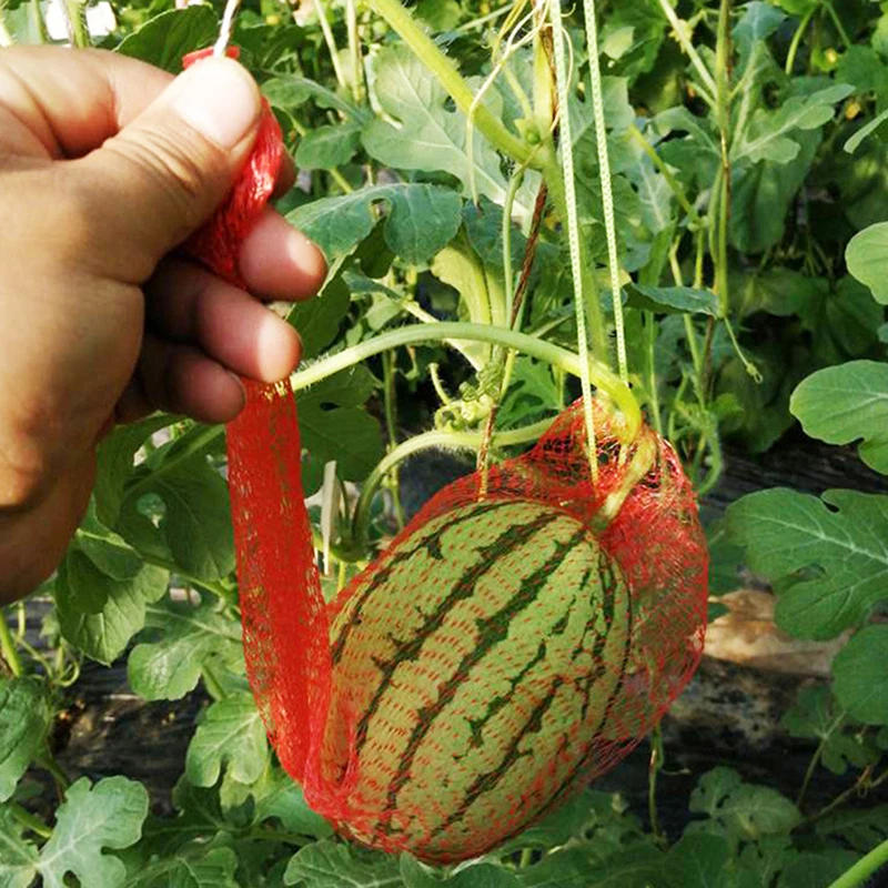 Description Picture 6 of item100pcs Garden Cucumbers Growing Storage Mesh Net Vegetable Bags Hanging Watermelon Grow Net Bags Reusable Cantaloupes Mesh Net