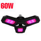 60W-126leds