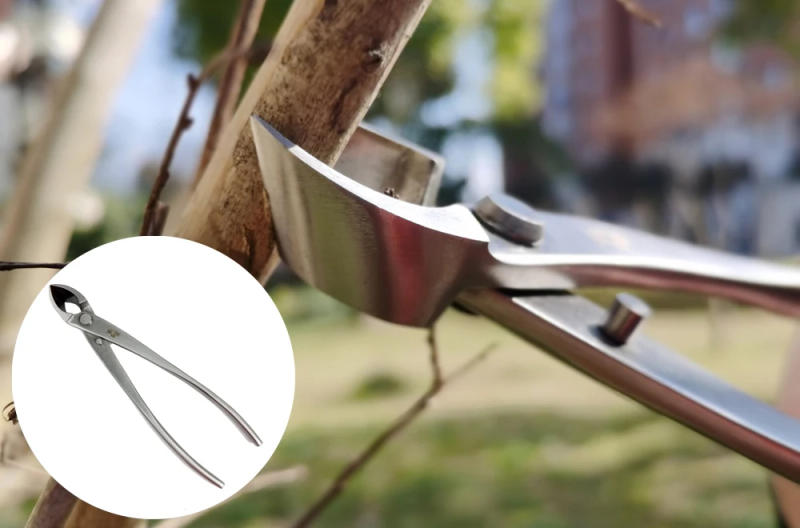 Description Picture 5 of itemBonsai tool Set Kit Stainless Steel Bonsai Scissors Knob Cutter Jin Pliers Trunk Splitter Garden Pruning Styling Tools