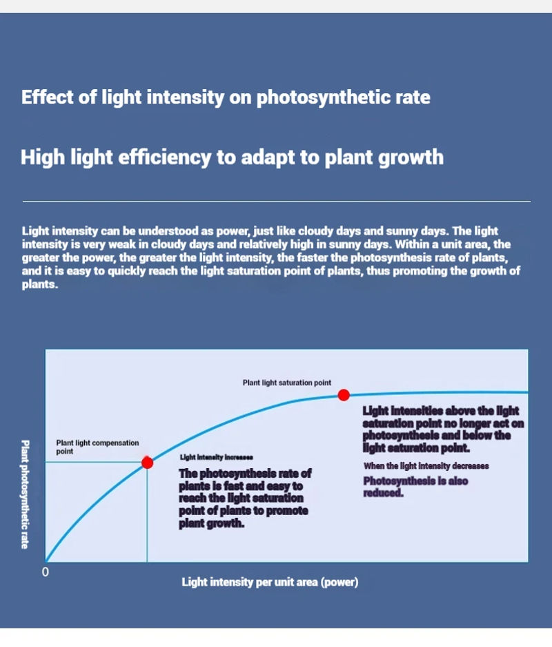 Description Picture 6 of itemLED Flower Bonsai Plant Grow Light Retractable Pole Plant Succulent Fill Light Anti Apprentice Light Timing model Full Spectrum