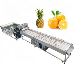 Ultrasonic Vegetable Washer And Dryer Oranges Machine Bubble Fruit Washing Machine With Conveyor Line